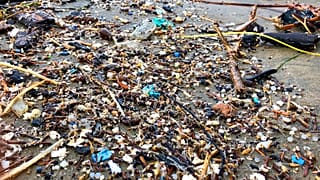 Immer mehr Plastikmüll im Meer