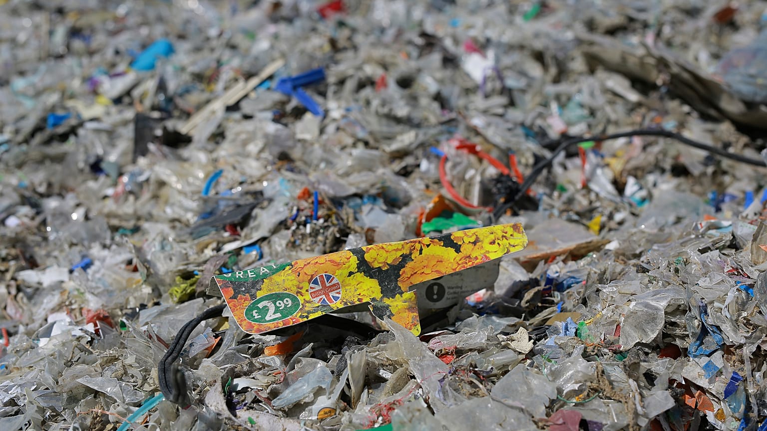 Alibeyköy'de bulunan plastik atıklar