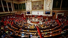 Vue générale du Parlement français, avril 2021