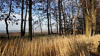 Smoke rises from the Turow coal-fired power plant on the Czech-Polish border