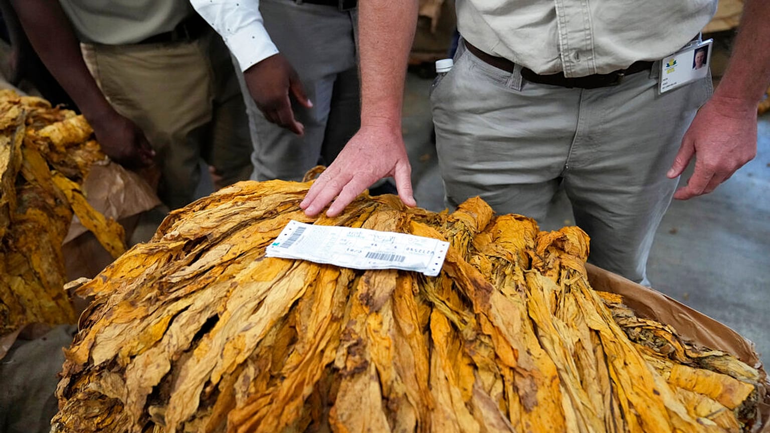 DSÖ tütün sektörünün dünyadaki bir numaralı kirletici olduğunu belirtti