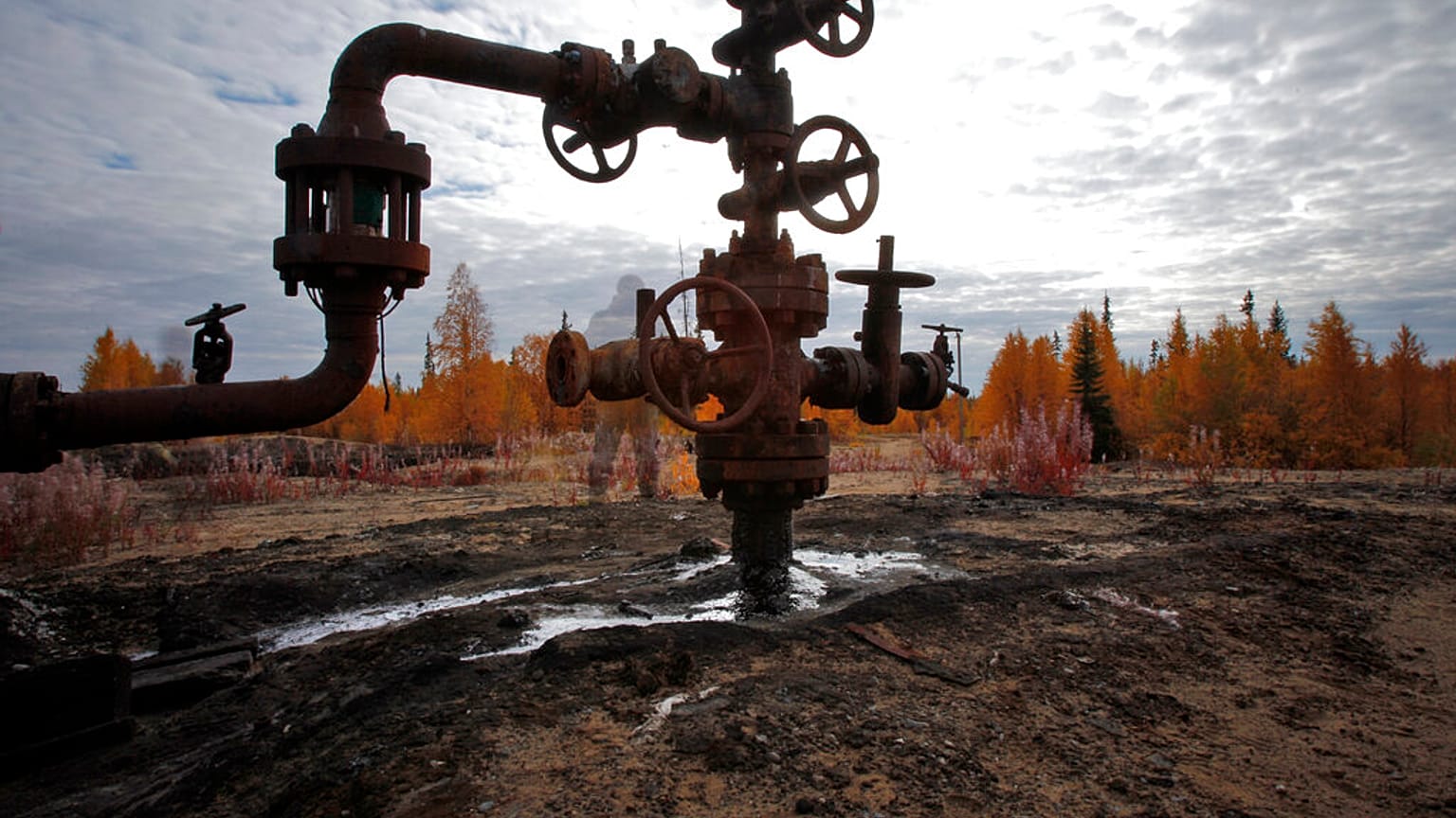 AB Rusya'dan günde 3 ila 3,7 milyon varil Ural petrolü alıyor