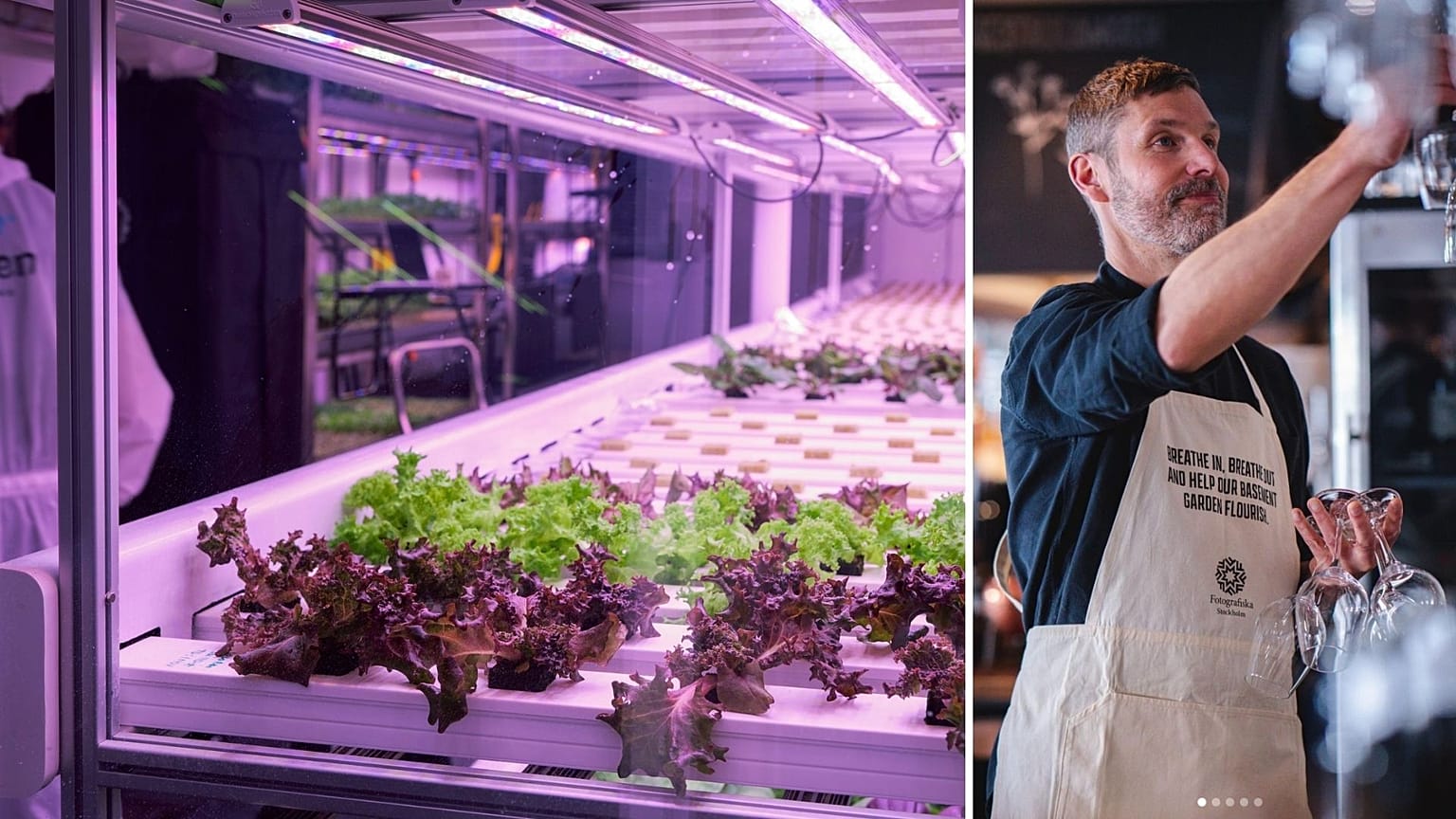 A Stockholm restaurant is trialling cotton aprons that capture carbon dioxide from the air.