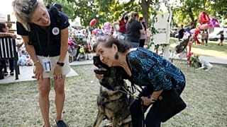 Kutya és gazdája egy versenyen az Egyesült Államokban