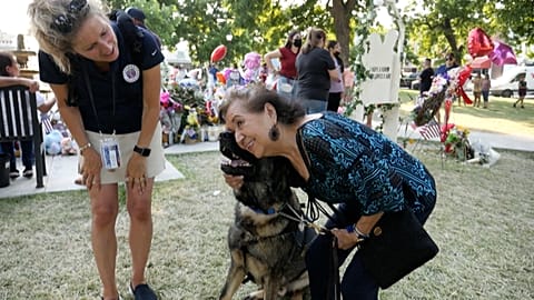 Hunde können trösten