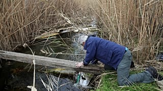 A volunteer collects a plastic bag from a stream during a trash collection at Kolovrechtis wetland near Halkida, Evia island, Feb. 3, 2018 