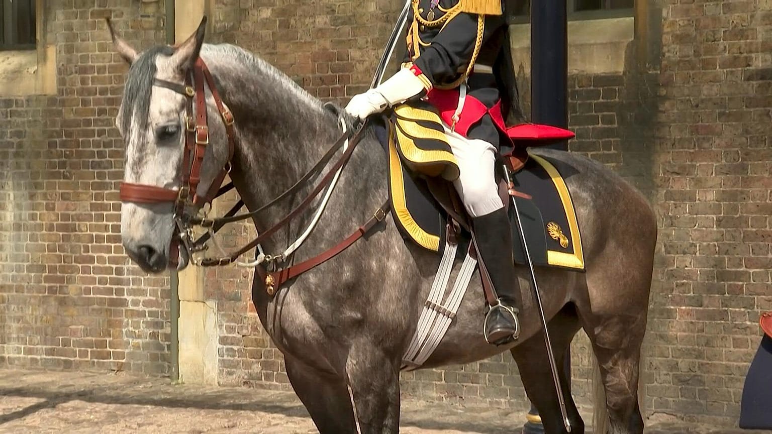 France has gifted Queen Elizabeth a horse for her Platinum Jubilee