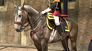 France has gifted Queen Elizabeth a horse for her Platinum Jubilee
