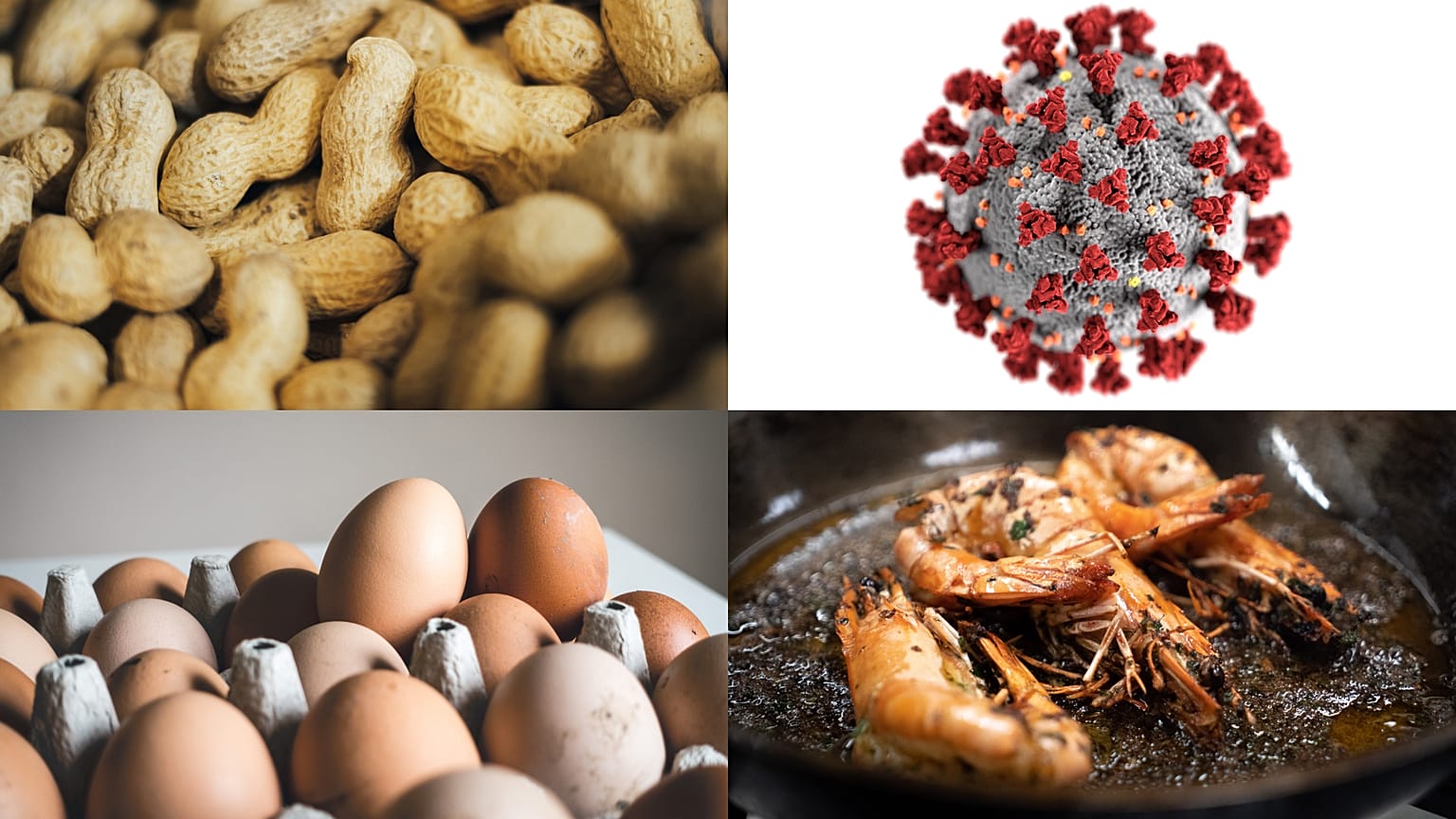 Food allergies have been found to reduce risk of COVID infection