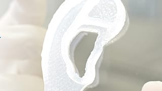 3D insan kulağı
