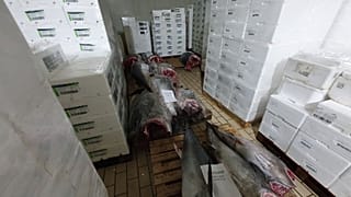 Οι κατασχεμένοι κόκκινοι τόνοι