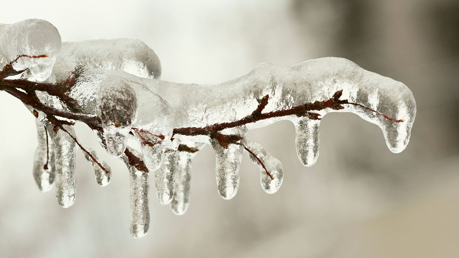 The term “crypto winter” refers to a period of flat trading after a price crash. 