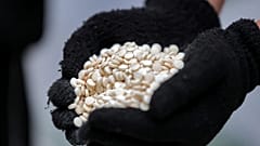 حبوب الكابتغون-أرشيف