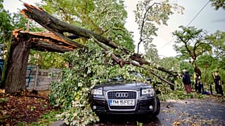 Autóra dőlt fa az öt évvel ezelőtti vihar után