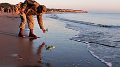 World War II reenactor put roses and flowers at dawn on Omaha Beach, in Saint-Laurent-sur-Mer, Normandy