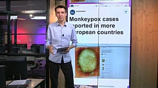Оспа обезьян вызывает такую же волну мифов, как и коронавирус