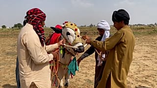 Pakistan