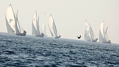سباق للمراكب الشراعية 
