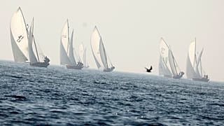 سباق للمراكب الشراعية 