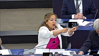 MEPs were supposed to vote on three key climate laws, but a surprising rejection caused a domino effect.