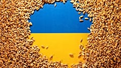 Ukrainian flag is covered with grains in this picture illustration taken May 9, 2022