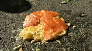 1,3 Millionen Tonnen Nahrung wird weggeworfen, allein in Spanien
