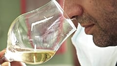 Wein und Rum: Angolanische Produzenten haben den Weltmarkt im Blick