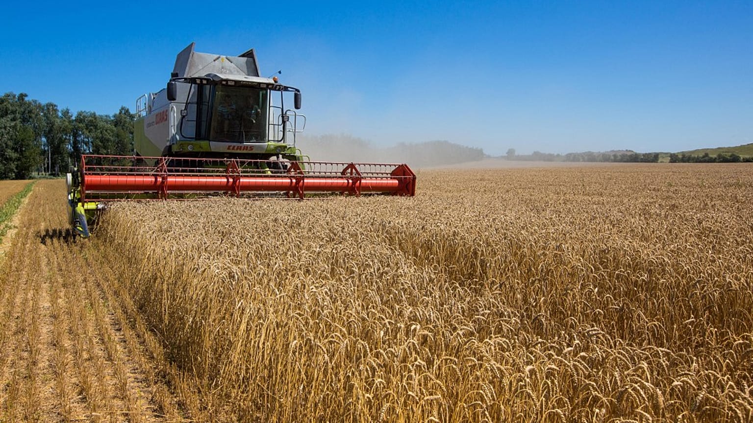 Exploração agrícola na Ucrânia (arquivo)