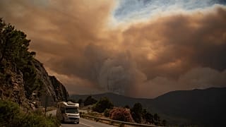 Arderam já mais de 2100 hectares de matas e florestas