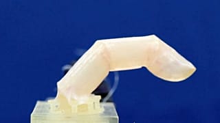 A robotic finger covered with living skin