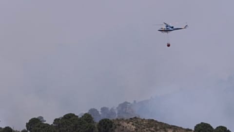 İspanya'nın Malaga şehrinde çıkan orman yangınında alevlere müdahale eden 3 itfaiyeci yaralandı.