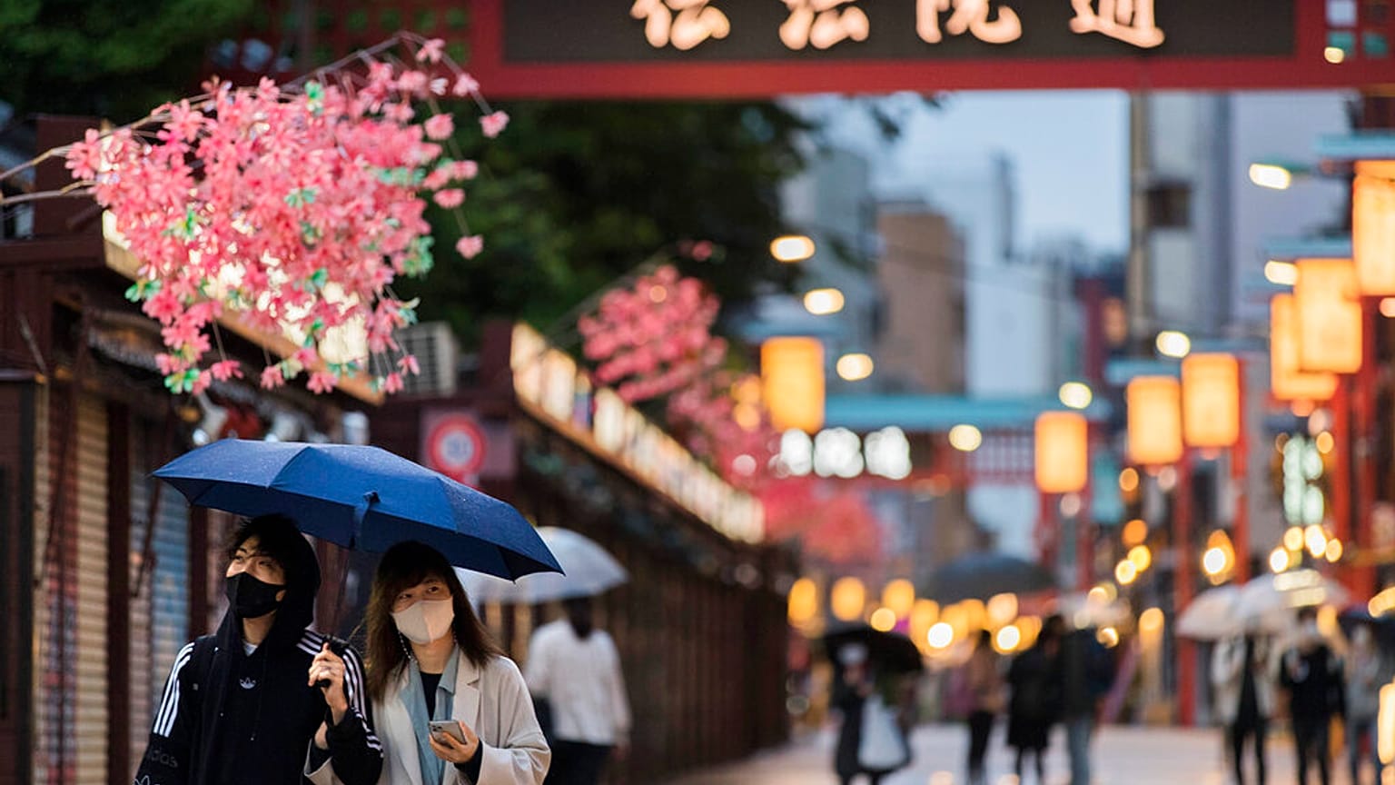 Japonya turizm için 2 yıl sonra kapılarını açtı (Arşiv)