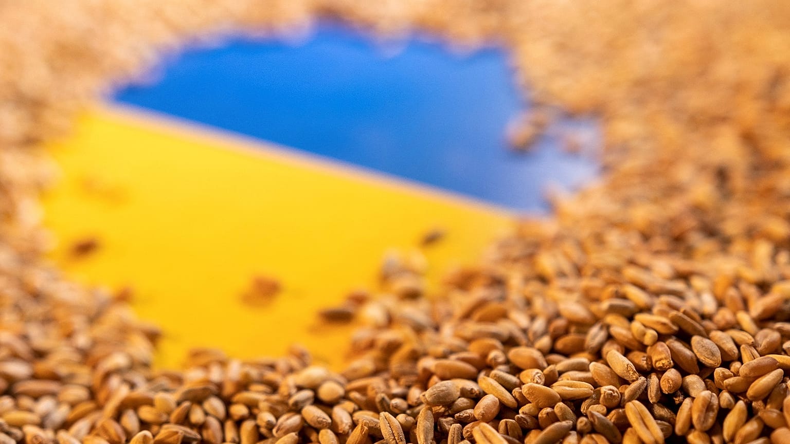 Getting much needed grain stores out of Ukraine is causing a food crisis.