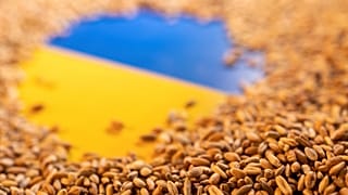 Getting much needed grain stores out of Ukraine is causing a food crisis.