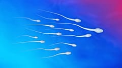 اسپرم