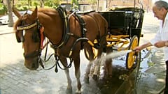 Onda de calor em Sevilha