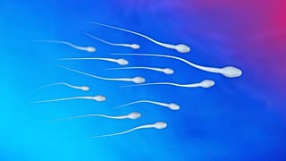 Die Qualität von Spermien bei Männern in westlichen Ländern nimmt weiter ab. Ein Grund könnten Schadstoffe sein, die Forscher:innen jetzt in Urinproben nachgewiesen haben.