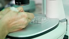 Erkeklerde sperm kalitesi düşüyor
