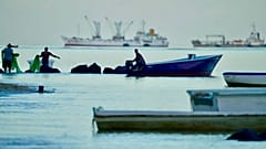 Illegale Fischerei: eine Bedrohung für marine Ökosysteme