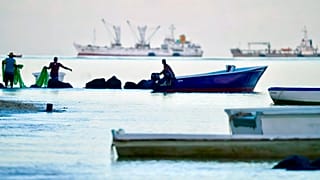 Small-scale fishermen and industrial vessels in Port Louis, Mauritius