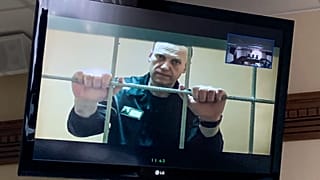 Alexei Navalny appeared via video link at Moscow City Court last month.