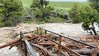Εθνικό Πάρκο Yellowstone, ΗΠΑ