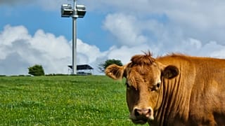 The mast includes a wind turbine and solar panels and could help provide mobile coverage in hard-to-reach places.