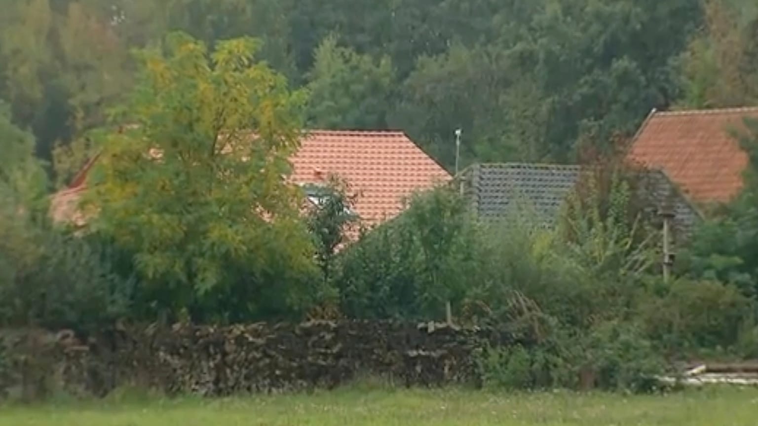 Six children were found living in secluded conditions in Ruinerwold in 2019.