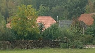 Six children were found living in secluded conditions in Ruinerwold in 2019.