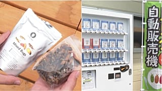 Japonya'da otomat makinelerinde böcek cipsi satılmaya başlandı.