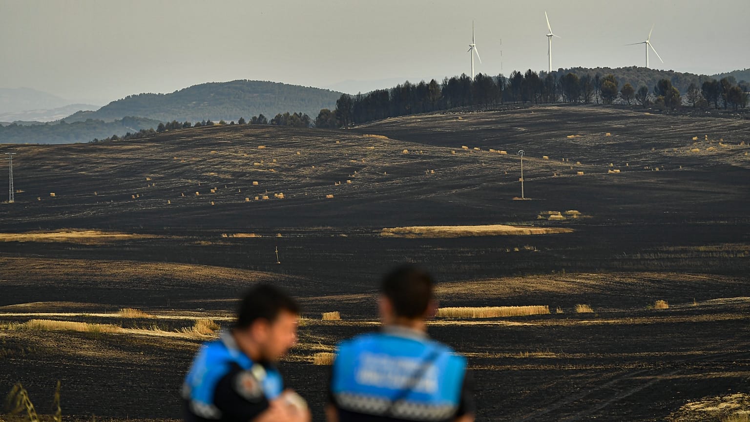 Des policiers inspectent les lieux après que des feux de forêt aient touché la zone proche de Miranda de Arga, dans le nord de l'Espagne, le jeudi 16 juin 2022.