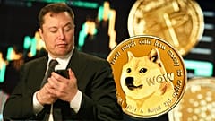 SpaceX, Tesla and their CEO are being sued for $258 billion (€245 billion) over claims they were part of a scam to “manipulate” the value of the cryptocurrency for profit.