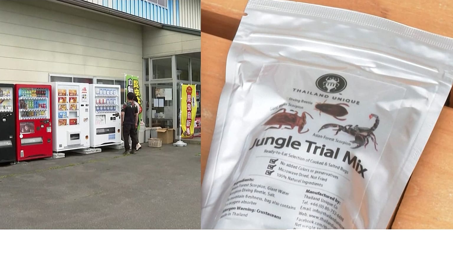 18 types of deep-fried insects are on the menu including crickets and grasshoppers. 