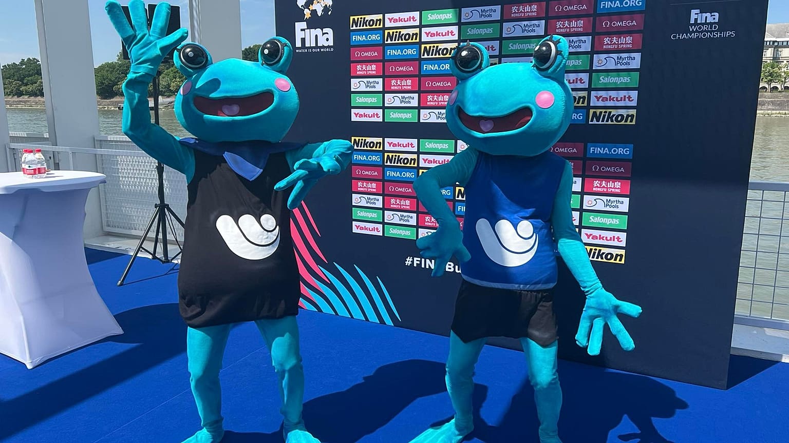 A FINA kabalái
